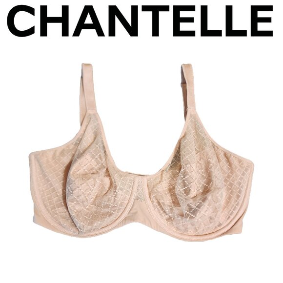 Chantelle Norah Chic Underwire Bra Nude Rose 36DDDD - Picture 1 of 9
